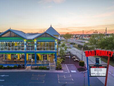 Bad Monkey in West Ocean City