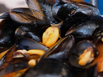 Mussels in a bowl